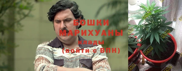 Альфа ПВП Алзамай