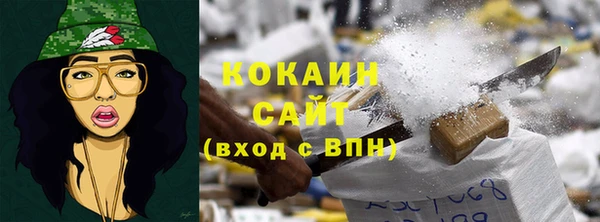 кокс Алексин