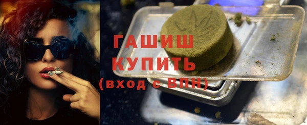 мдпв Каменка