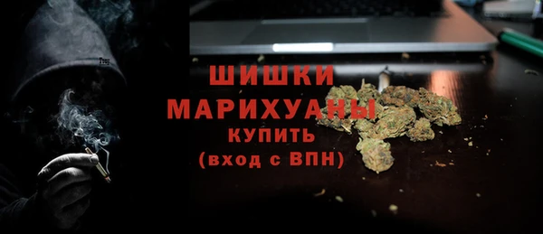 соль ск Каменногорск
