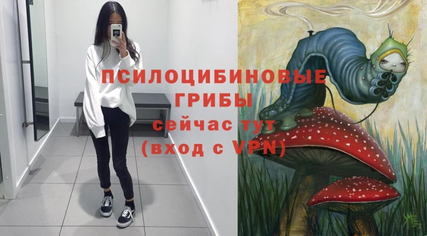 кокс Алексин