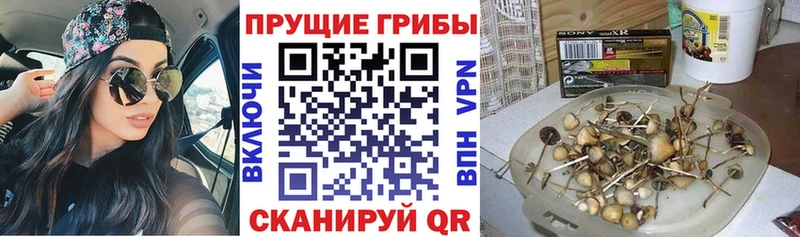 Галлюциногенные грибы мухоморы  Новоаннинский 